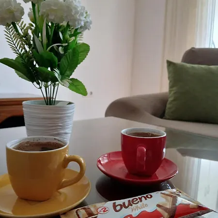Apartmán Borik *